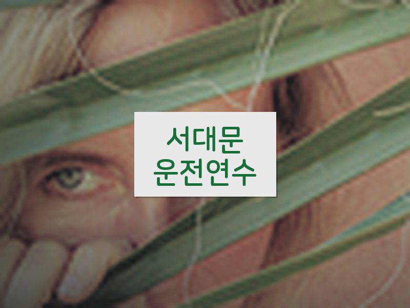 서대문운전연수 후기