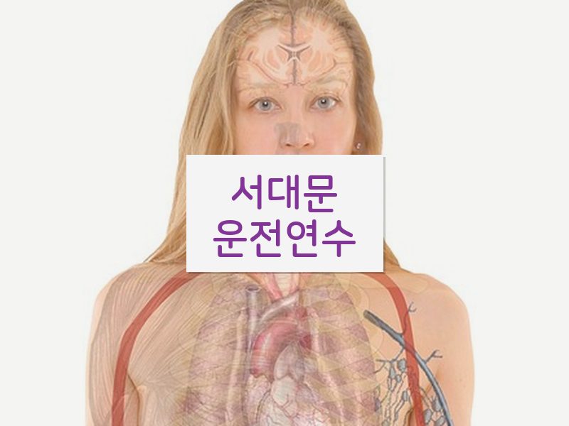 서대문운전연수 후기