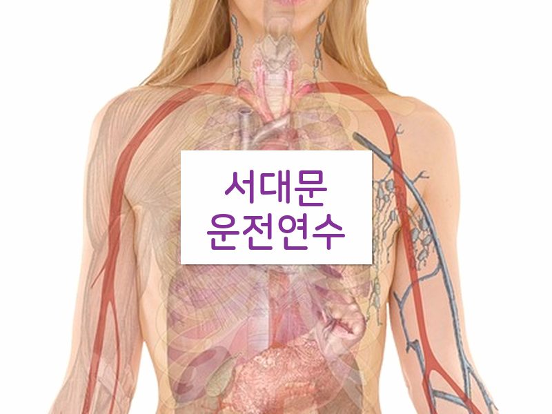 서대문운전연수 후기