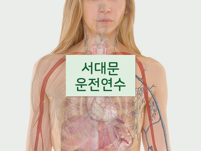 서대문운전연수 후기