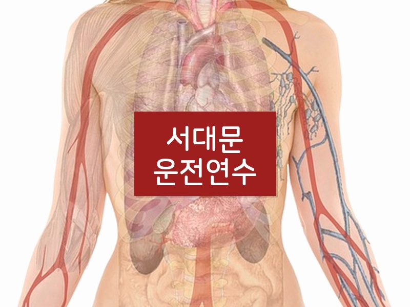 서대문운전연수 후기