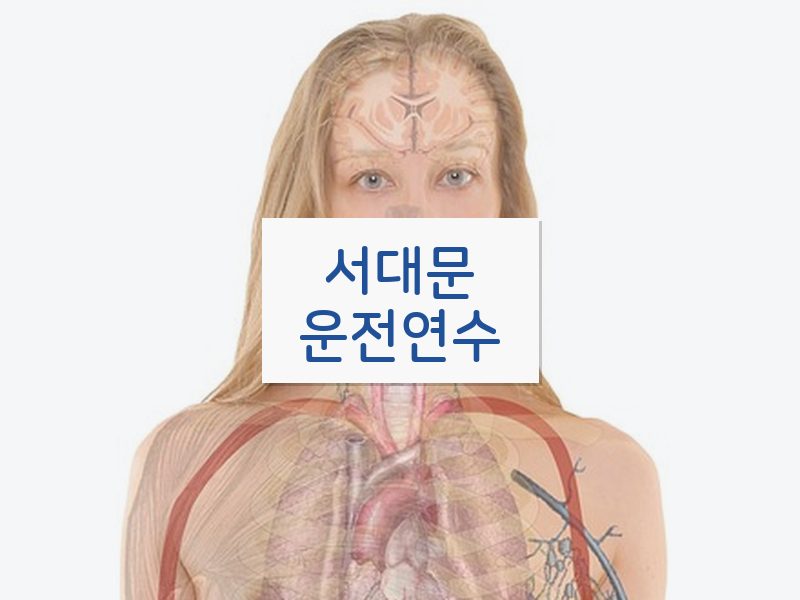 서대문운전연수 후기