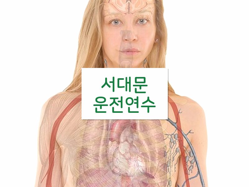 서대문운전연수 후기