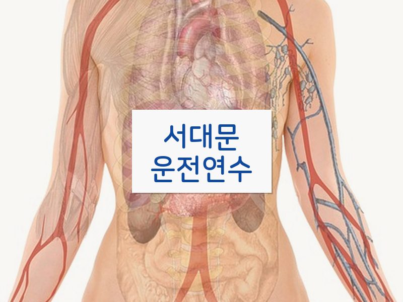 서대문운전연수 후기