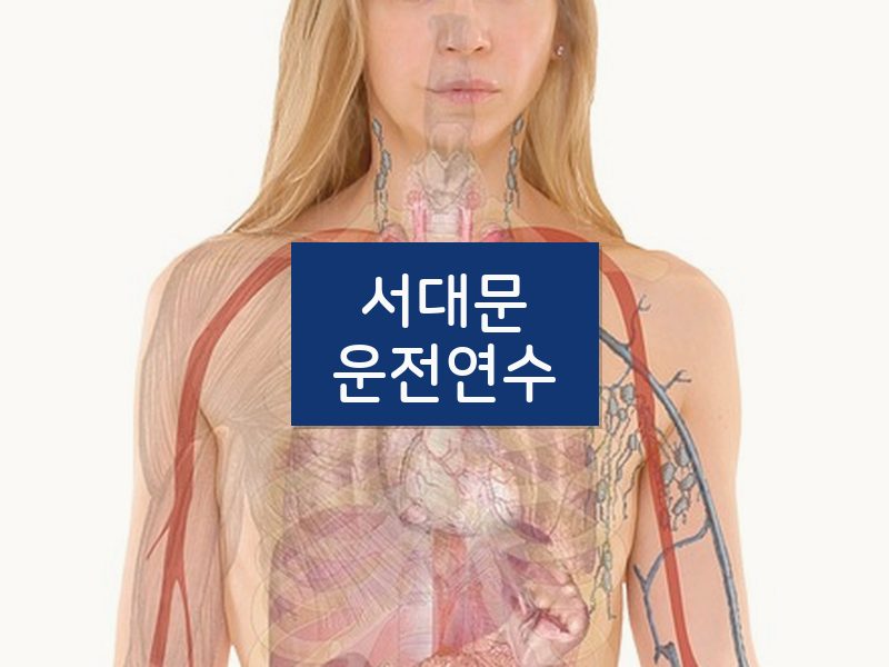 서대문운전연수 후기