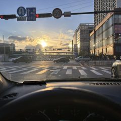 2주 완성 코스 수료