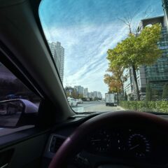 아침 안개 때문에 운전 힘들었어요