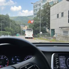 가족 탐방으로 시작한 운전