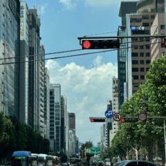 트럭 라인 놀라웠어요