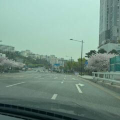 서대문 시장 주차 스트레스