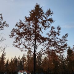 하이비트 사용법!!