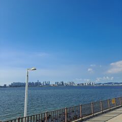 자차 연수 후기