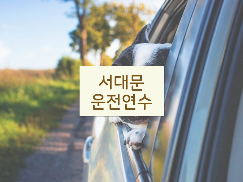 서대문운전연수 후기