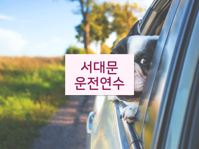 서대문운전연수 후기