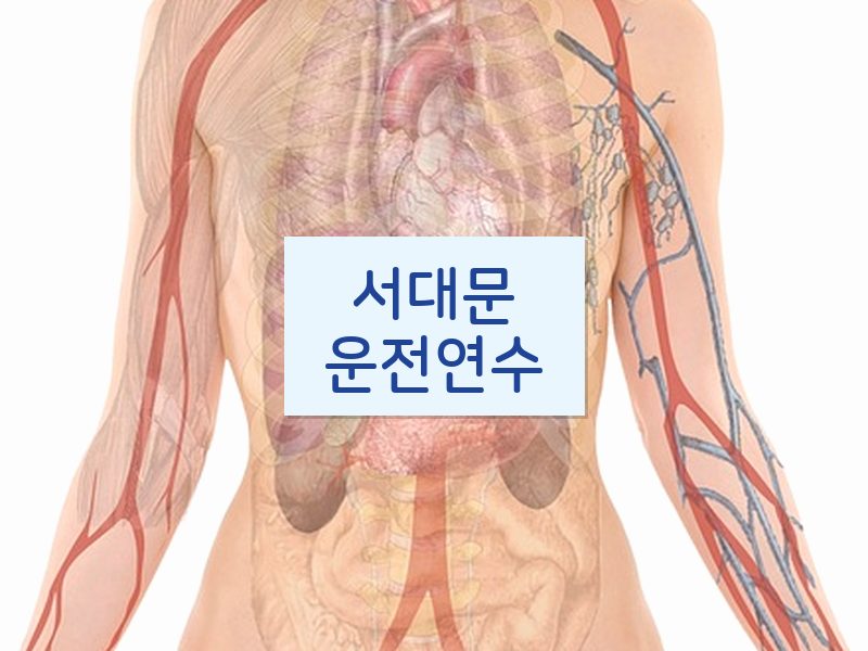 서대문운전연수 후기